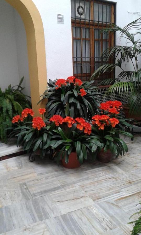 Cordoba Centro Esencia Cordobesa. Mezquita Διαμέρισμα Εξωτερικό φωτογραφία