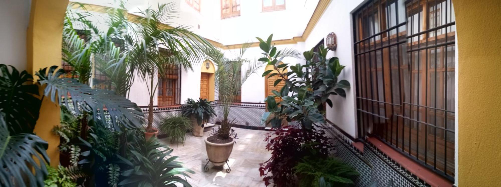 Cordoba Centro Esencia Cordobesa. Mezquita Διαμέρισμα Εξωτερικό φωτογραφία